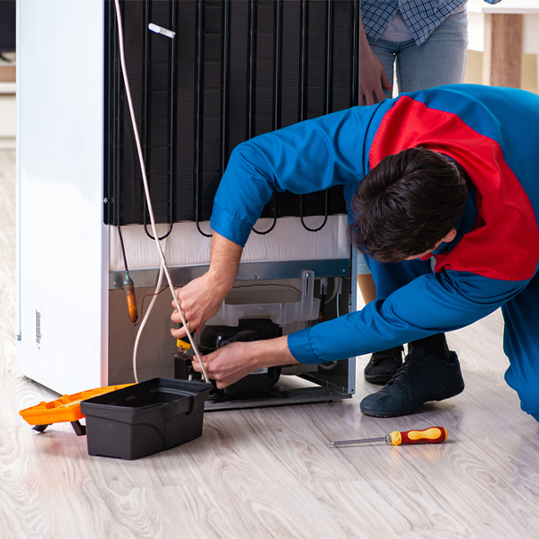 is it cost-effective to repair a refrigerator or replace it entirely in Custer County